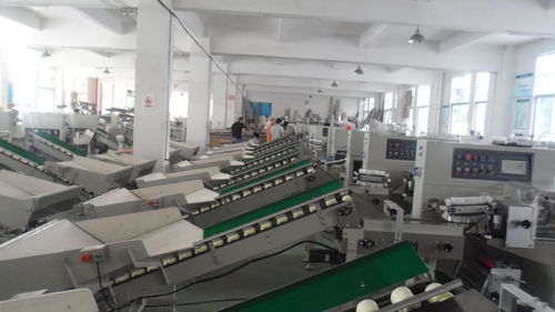 新科力冰糖橙套袋包裝機 建筑材料領(lǐng)域的精品橙子包裝解決方案