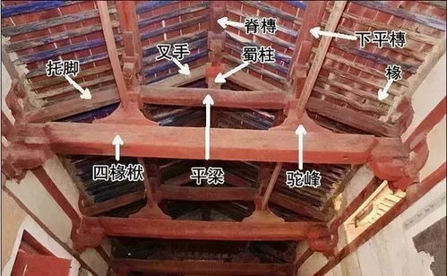 圖解建筑材料 從煙草的意外應(yīng)用看傳統(tǒng)材料的創(chuàng)新潛力